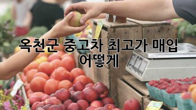 옥천군 중고차 최고가 매입, 어떻게?