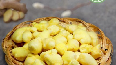 향긋한 겨울나기! 농부창고 진저한생강 찐후기 & 꿀팁🍯