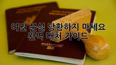 여권 분실? 당황하지 마세요! 완벽 대처 가이드